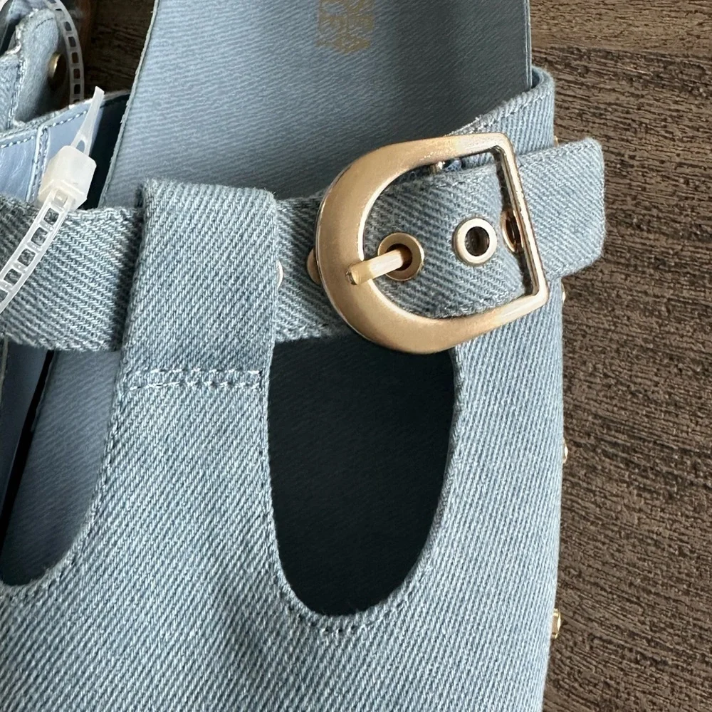 NWTBlue Buckle Shoes
